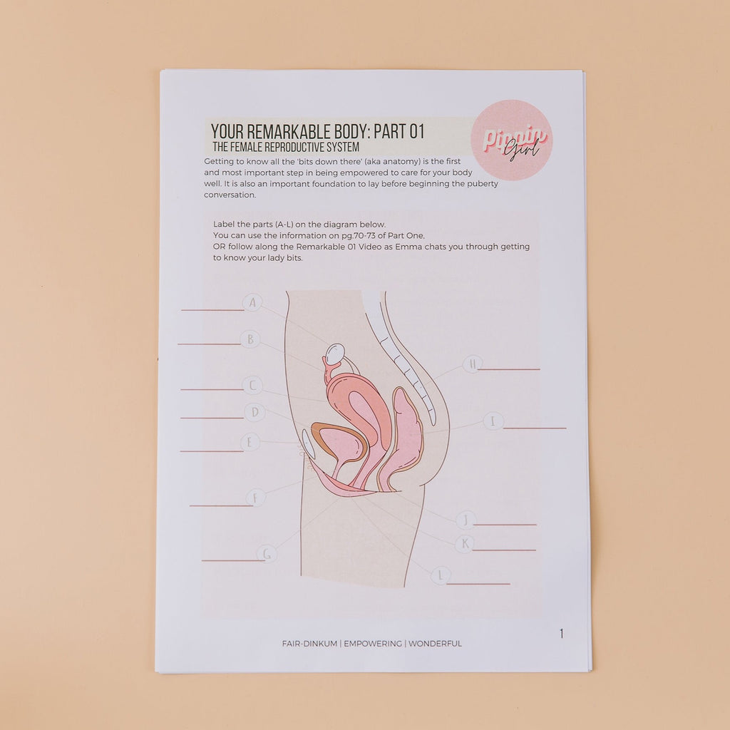 pippin girl guide to the female reproductive system for girls